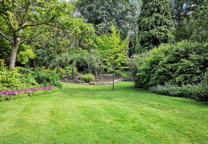 Optimiser l'expérience du jardin à Menetreux-le-Pitois